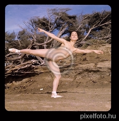 Nudist Ballet Photo Nudist Ballet Photo