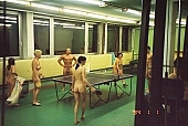 n�k, n�k, nudista rendezv�ny, naturista, nudista, naturizmus, nudizmus, naturista rendezv�ny, sportol�s, bord�sfal, fkk, INF, verseny, asztalitenisz, pingpong, j�t�kos, s�lyemel�s, csapat, csapatok, meztelen, meztelen, ruh�tlan, test, ember, n�, torna, sport, k�pz�s, fel�d�l�s, relax�l�s, sz�rakoz�s, �t�, naturista l�ny, ELTE, Budapest, CD 0065