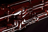 music, woodwind instrument, bassoon, reed, tooter, button, key, tubby, deep bassoon, conker, horse chestnut, brown, Bach, concertino, Vivaldi, bassoon vent, partial, instrument, maple, blink, gleam, P�chner, Josef P�chner, play the bassoon, musical instrument, tree, metal, shiny, unique, song, accompanist instrument, independent instrument, symphonic orchestra, musician, artist, virtuoso, virtuosi, sheet music, composer, Beethoven, Mozart, 2007, CD 0044, Kiss L�szl�, L�szl� Kiss