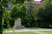 Szeged, town, city, city center, square, monument, statues, 1956, Miklos Melocco, images, pictures, green, white, birch tree, house, road, trees, scale, stairway, garden, univesity, Rerrich Bela square, leaf, leaves, shadow, light, Mathematics Department, Physics Department, department, lab, labs, Bolyai Institute, institute, CD 0029, Kiss L�szl�, L�szl� Kiss