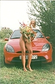 naturist, bouquet, naturist beach, congratulation, car, in front of car, red car, chalice, girl, blossom, bloom, flower, award, sun, sunshine, friend, scale, stairway, girlfriend, brown, skin, sunlit, delight, smile, unclad woman, woman, INF, taking photographs, attitude, pose, nude, nudity, naked girl, unclad body, young naturists, naked body, nude body, nudist place, fkk, posture, naturist girl, in a state of nature, in the buff, in the nude, naturism, unclad, stripped, nudist, nudism, young, naked, recreation, relaxation, repose, rest, camping, beach, Delegyhaza, CD 0095