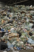 rubbish, dreck, garbage, dump, garbage heap, dumpster, trash cans, beans, cuttings, debris, refuse, paper, compound, plastic, communal, metal, sac, neylon, recycling, odour, malodorous, fetid, noisome, junk management, effluvium, , Kiss Lszl, Lszl Kiss