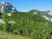 excursionist, hiker, tourist, touristic, green, hike, on holiday, trees, bushes, blue, holidays, recreation, relaxation, repose, rest, forenoon, spectators terrace, lookout, view, spare-time, leisure, time, sunlight, sky, warm, good weather, on the mountain, motor-driven, meeting, valley, rock, fir, forest, stone, ripping, avalanche, wind, brilliante, sunshine, Fakeer See, highland, trip