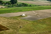 windmill, ruin, Balastya, Hungary, air photograph, air photo, air photos, to weather, landscape, loam, art relic, national monument, time, moulder, plow, agriculture, tillage, cultivation, mill, miller, site, crumbling, CD 0029, Kiss Lszl, Lszl Kiss