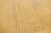 hemp, yellow, sheaf, bale, summer, housing, harvest, hemp production, hemp trade, Mindszent, order, frame, method, regime, set-up, system, systemic, meadow, junk, hemp bond, hemp transport, air photograph, air photo, field, aerials, aerial, air photos, Hungary, birds eye view, high, environment, ambience, plan, air, of birds eye view, regular, bag, poke, cod, sac, sack, string, tether, cord, line, tie, twine, CD 0029, Kiss L�szl�, L�szl� Kiss