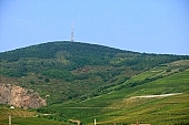grapes, arbor, hill, hillside, health, healthy lifestyle, wellness, fitness, skin, parallel, limitless, perspective, village, countryside, nature, vineyard, vintage, vineculture, vine-arbor, blue, sky, blue sky, valley, tower, birds eye view, forest, field, plow, grapes garden, Tokaj, sunlight, warm, Kiss L�szl�, L�szl� Kiss