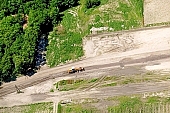 highway, road making, air photograph, road, M5, E5, E75, Szeged, Budapest, air photo, Kecskemet, Kiskunfelegyhaza, Hungary, transportation, traffic, horticulture, barrier, bar, fence, birds eye view, banister, delimination, bridge, holiday home, holiday resort, holidaymakers, house, houses, overpass, perspective, nature, bridges, power-line, wire, fruit tree, plantation, electric line, car, cars, lane, lanes, painted lane, speed, range of speeds, fast, fast transportation, menacing, cloud, clouds, sky, cut, dike, ditch, pit, trench, water-jump, asphalt, bitumen, blacktop, concrete, standing, arc of a circle, arc, Kiss L�szl�, L�szl� Kiss