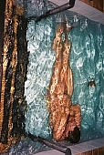 nude man, photo, foto, reflection, special, water, pool, vat, lay, laid, tobe under water, naturists, nudists, freik�rperkultur, naturist friends, swimming pool, naturism, nudist women, sauna, sweating-room, douche, naked body, nude body, cold, elte, warm, nudism, naturist fellowship, smile, naturist, nudist, naked, stripped, fkk, in a state of nature, in the buff, in the nude, nudity, nude, nakedness, man, woman, young, fellowship, meeting, entertainment, confab, talking, coexistence, group, winter, Nanasi road, Budapest, CD 0065