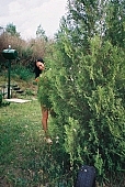 girl, young nudist, girl with a flower, nudism, naturism, thin, wispy, young girl, naturist lady, unclad young woman, naked body, nude body, young naturists, nudist women, smile, naked girl, nude, nudity, water, waterfront, lake, attitude, pose, posture, adjusment, unclad, stripped, tattooed, taking photographs, nudist girl, naked, unclothed, pretty, nudist, fkk, INF, naturist, woman, young, in a state of nature, in the buff, in the nude, Delegyhaza, CD 0094