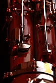 play the bassoon, reed, music, woodwind instrument, accompanist instrument, bassoon, tooter, button, key, tubby, deep bassoon, conker, horse chestnut, brown, Bach, concertino, Vivaldi, bassoon vent, partial, instrument, maple, blink, gleam, P�chner, Josef P�chner, musical instrument, tree, metal, shiny, unique, song, independent instrument, symphonic orchestra, musician, artist, virtuoso, virtuosi, sheet music, composer, Beethoven, Mozart, 2007, CD 0044, Kiss L�szl�, L�szl� Kiss