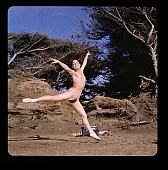 naturist, nudist, ballet-dancer, ballerina, naturism, nudism, fkk, INF, naked, stripped, in a state of nature, in the buff, in the nude, unclothed, naturist woman, nudist women, girl, dame, lady, young, balett, ballet shoes, coast, beach, tree, limb, parched, attitude, pose, posture, beauty, beautiful, pretty, thin, wispy, Sonya, Guadelupe, San Francisco, CD 0008