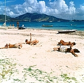 St Martin, nudist, nudist lady, naturist lady, gymnastics, tableau, naturist woman, naturist girl, unclad, stripped, naturist, naturism, Club Orient, Orient, girl, woman, club, naked, sky, wet, peace, affection, liking, love, unclothed, adult, floor, storied, storeyed, nature, in the nature, blue, sand, island, beach, coast, sea, billows, deep, wind, hair, pie in the sky, laughing, laugh, smile, together, delight, zest for life, port, dock, ship, keels, surface ships, boat, boats, warm, water, gale, CD 0034