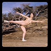 naturist, naturist woman, freik�rperkultur, nudist, ballet-dancer, ballerina, move, movement, dance, outdoors, without doors, naturism, nudism, fkk, INF, naked, stripped, in a state of nature, in the buff, in the nude, nudity, nude, nakedness, nudist women, girl, dame, lady, young, balett, ballet shoes, coast, beach, tree, limb, parched, attitude, pose, posture, beauty, beautiful, pretty, thin, wispy, Sonya, Guadelupe, San Francisco, CD 0008