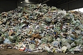 metal, dump, rubbish, dreck, garbage, garbage heap, dumpster, cuttings, debris, refuse, paper, compound, plastic, communal, sac, nylon, recycling, effluvium, odour, malodorous, fetid, noisome, neylon, trash cans, beans, junk management, , Kiss Lszl, Lszl Kiss