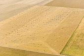 hemp, yellow, sheaf, bale, summer, housing, harvest, Mindszent, order, frame, method, regime, set-up, system, systemic, meadow, junk, field, air photograph, air photo, aerials, aerial, hemp bond, hemp transport, hemp production, hemp trade, air photos, Hungary, birds eye view, high, environment, ambience, plan, air, of birds eye view, regular, bag, poke, cod, sac, sack, string, tether, cord, line, tie, twine, CD 0029, Kiss L�szl�, L�szl� Kiss
