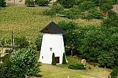 Szatymaz, Csongrad county, Hungary, mill, green, Enyingi windmill, Enyingi, Enying, house, wind, orchard, houses, farmhouse, vacation house, road, garden, recreation, relaxation, repose, rest, silence, quiet, windmill, carriageway, car, reed roof, flour, bread, fence, tree, trees, air photograph, air photo, air photos, aerials, birds eye view, building, buildings, neighborhood, everyday life, at home, countryside, plan, air, aerial, square, plot, development, beauty, beautiful, pretty, white, red, blue, brown, yellow, flat, gray, of birds eye view, regular, CD 0029, Kiss L�szl�, L�szl� Kiss