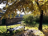 idyl, idyill, idyllic, autumn, castle, park, ground, sit, sitting, rest, resting, resting place, bench, pew, garden-seat, peace, peaceful, old, ancient, rustic, empty, emptiness, old age, age, nature, natural, security, environment, human, light, lights, sun, leaf, leaves, tree, plant, friendly, friend, passing, place, nice, pleasent, grove, wood, garden, yellow, fall, 