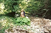 nudism, Russia, freik�rperkultur, naturism, Caucasus mountain area, young naturists, young nudist, woman, young, naturist, nudist, mountain, hillside, backpack, knapsack, rucksack, climbing, moss, unclad, stripped, naked, plant, blossom, bloom, flower, greenery, fkk, INF, tree, light, shadow, mysterious, CD 0058