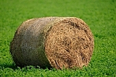 straw, stack of straw, field, meadow, harvest, plant, nature, countryside, agriculture, agricultural land, loneliness, lonely, alone, only, green, grass, outdoors, harvester, feed, fodder, forage, housing, garner, garner in, gather, greenery, Kiss L�szl�, L�szl� Kiss