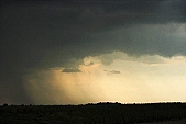 cloud, clouds, fog, thunder-shower, rain, watery cloud, rainstorm, douche, shower-bath, storm, drift, desert, dark, weather, nature, outdoors, outside, scotch mist, precipitate, precipitation, condensation, ardent, fervent, fervid, fierce, fiery, intense, vehement, , ardently, fervently, intensly, strong, firm, firmly, forcefully, pour, cascade, stream, sky, bush, bushes, tree, trees, Kiss L�szl�, L�szl� Kiss