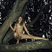 modell, taking photographs, freik�rperkultur, to pose, passion, naturism, nudism, curl, hair, black, girl, young, coast, fkk, straight foot , nudist, old tree, nude woman, photo, foto, to lean on, nudity, nude, nakedness, nudist coast, white, in a state of nature, in the buff, in the nude, tree, naked body, INF, naked, stripped, dame, lady, pretty woman, naturist girl, naturist, posture, woman, dry-rotten, punk, parched, naturist woman, white bracelet, waterfront, attitude, pose, photographer, naturist young, sea, billows, deep, bole, tree trunk, body, punk wood, dry, nudist girl, nude body, dune, Lands end, San Francisco, CD 0104