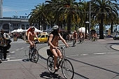naturist group, cycling tour, street procession, naked protestor, programme, bicycle procession, environmental pollution, man, woman, naturist demonstrative, nudism, nudist men, environmental, nudist, square, demo, cyclist, cycler, protest, naturism, naturist, remonstrance, nudist group, body painting, notable, remarkable, group, coterie, concourse, advertisement, environment, ambience, conviction, straight-out, wholeheartedly, WNBR, USA, environmentalists, San Francisco, street, on the street, streets of San Francisco, women, gents, men, protesters, World Naked Bike Ride, confluence, body, naked, stripped, road, attention rising, bicycle, cycling, procession, fight against the dependence, California, 2007, CD 0074