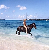 nudist lady, naturist woman, ride, horse riding, naturism, naturist, naturist lady, nudist, St Martin, Club Orient, horse, Orient, naturist girl, club, girl, woman, unclad, stripped, naked, sky, wet, peace, affection, liking, love, unclothed, adult, floor, storied, storeyed, nature, in the nature, blue, sand, island, sunlight, summer, sunshine, beach, coast, sea, billows, deep, wind, hair, pie in the sky, laughing, laugh, smile, together, delight, zest for life, warm, water, ship, recreation, relaxation, repose, rest, on holiday, refection, CD 0034