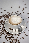 coffee, bean, beans, cup, cups, brown, black, drink, household, morning, tea, teatime, mug, saucer, spoon, foam, sugarcube, sugarcubes, milk, white coffee, steam, steamy, reeking, bitter, uscious, sweet, Kiss L�szl�, L�szl� Kiss