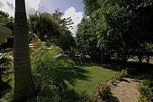 Dominican Republic, spare-time, leisure, time, nature, on holiday, architecture, pool, vat, house, tropical, lush, lustful, gross, warm, pleasant, temperature, critter, haze, steam, vapor, rain, equator, action, skin color, bush, quiet, to diverge, to fork, beautiful, background, to bloom, creative, reassuring, deep, artistic, open, beauty, color, colour, colourful, vivid, flower, daydreaming, dreaming, wishful thinking, dreamy, dreamer, hunch, intuition, anticipation, cloud, bracing, recreation, plumb, sheer, upright, blue, environment, ambience, outdoors, leaf on a plant, sun, sunlight, summer, relaxation, repose, rest, frond, palm tree, reed, holidays, activity, engagement, hiker, tourist, source, traveling, destination, reflection, water, sky, spanish, Columbus, exploring, island, caribbean, sea, brine, Atlantic Ocean, green, Dominica, Dominican, feel, feeling, kind, character, style, light, glitter, sparkle, colors, colours, Kiss L�szl�, L�szl� Kiss