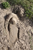 Olga, Arbuzov, sand, statue from sand, man, trunk, water, hair, head, noddle, monument, exhibition, beach, encampment, artist, virtuoso, virtuosi, art, artist encampment, 2007, CD 0049, Kiss L�szl�, L�szl� Kiss