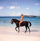 naturism, naturist, naturist lady, nudist, nudist lady, naturist woman, naturist girl, St Martin, Club Orient, ride, horse riding, horse, Orient, club, girl, woman, unclad, stripped, naked, sky, wet, peace, affection, liking, love, unclothed, adult, floor, storied, storeyed, nature, in the nature, blue, sand, island, sunlight, summer, sunshine, beach, coast, sea, billows, deep, wind, hair, pie in the sky, laughing, laugh, smile, together, delight, zest for life, warm, water, ship, recreation, relaxation, repose, rest, on holiday, refection, CD 0034
