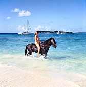 naturism, naturist, ride, horse riding, naturist lady, nudist, St Martin, Club Orient, horse, Orient, nudist lady, naturist woman, naturist girl, club, girl, woman, unclad, stripped, naked, sky, wet, peace, affection, liking, love, unclothed, adult, floor, storied, storeyed, nature, in the nature, blue, sand, island, sunlight, summer, sunshine, beach, coast, sea, billows, deep, wind, hair, pie in the sky, laughing, laugh, smile, together, delight, zest for life, warm, water, ship, recreation, relaxation, repose, rest, on holiday, refection, CD 0034