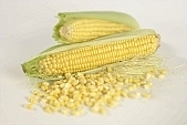 corn, conserve, can, ripe, corn in the early dough stage, vitamins, bio, vegetable, healthy, food, feed, fodder, forage, yellow, calorie, carbohydrate, plant, corncob, young, eyes, mealies, garden, cornhusk, floss, Kiss Lszl, Lszl Kiss