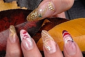 nail, toenail, nails, laced, lace, jelly, colorful gel, porcelain, colorful acrylic, nail tip, built, pattern, patterned, stones, pearly, pearlies, paste, pastes, seashell, dry flower, autumn, leaf, leaves, root, nail decor, brush, dieing, labelling, hand, handicraft, color, colour, colors, colours, shiny gel, shiny jelly, nail polish, nailbrush, grooming of nails, nail polish remover, nail file, a pair of scissors, UV beam, colourful, vivid, finger, manicure, chiropody, gold, uscious, sweet, sugar, honey, poppy, vanilla, lollipop, decor, decoration, beading, art, fingers, 2007, CD 0041, laced nail, Kiss L�szl�, L�szl� Kiss