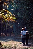 autumn, botanical garden, trees, yellow, brown, family, saunter, sunlight, grounds, parkland, forest, trip, Szeged, green, man, woman, kid, peace, affection, liking, love, silence, quiet, recreation, relaxation, repose, rest, disengagement, distraction, resource, CD 0046, Kiss L�szl�, L�szl� Kiss