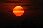sun, ball, luminary, sunset, sunspot, sun-spot, solar flare, flagrancy, glow, ignition, sun-disk, sky, red, yellow, cloud, clouds, wispy cloud, sunlight, solar about, solar energy, CD 0022, Kiss L�szl�, L�szl� Kiss