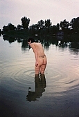 taking photographs, attitude, pose, nude, nudity, girl, naked girl, unclad body, young naturists, naked body, nude body, naturist beach, nudist place, lake, lake side, water, waterfront, grit cell, gravel, gravelly, unclad woman, tattooed, fkk, INF, posture, naturist girl, in a state of nature, in the buff, in the nude, naturism, unclad, stripped, woman, nudist, nudism, naturist, friend, young, naked, game, recreation, relaxation, repose, rest, sand, camping, beach, Delegyhaza, CD 0095