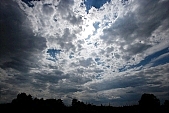 cloud, clouds, blue, sky, blue sky, trees, cumulus, 2007, CD 0051, Kiss L�szl�, L�szl� Kiss