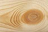 tree, board, pinewood, natural, wooden door, filing cabinet, cupboard, desk, chair, shelf, carpenter, joiner, plowed wood, knotty wood, joinery, wright, chips, nature lateness, nature, , timber, lumber, splint, knotty, annual ring, building material, building joiner, cabinetmaker, woodworking, woodwork, panelling, baseboard, wainscot, floor, boarding, oaktree, walnut, teakwood, ebony, ashen, window of tree, ad, ads, scenes, woodworking machine, nature near, painted, yellow, light, shadow, top, roof, beam, spile, soaking, tanning, squared timber, bearers, batten, brown, CD 0014, Kiss L�szl�, L�szl� Kiss