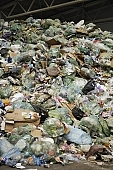 rubbish, dreck, garbage, dump, garbage heap, dumpster, , trash cans, beans, cuttings, debris, refuse, paper, compound, plastic, communal, metal, sac, neylon, recycling, odour, malodorous, fetid, noisome, junk management, effluvium, Kiss Lszl, Lszl Kiss