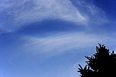 rainbow, beauty, beautiful, pretty, blue, bluish, puke, , calm, cloud, clouds, day, daytime, distance, fair, market, light, lighting, glitter, sparkle, motion, natural, nature, kind, character, style, outdoors, exterior, outdoor, without doors, outside, peaceful, tranquil, picturesque, scenic, recreation, relaxation, repose, rest, unclouded, serene, shining, twinkling, sky, sun, ray, sunbeam, sun, sunlight, weather, white, world, atmosphere, atmospheric, cirrus, cloudscape, cloudy, daylight, drifting, exteriors, floating, good, happiness, happy, horizontal, luck, metaphor, metaphors, meteorological, meteorology, no, nobody, open-air, peacefulness, tranquility, quiet, restful, picture, image, scenery, scenary, scene, serenity, skies, stretching, sunlit, thin, wispy, through, lookout, view, views, windswept, windy, wind-blowed, tree, trees, fir, pine bough, fir branch, sky-high trees, cold, autumn, winter, branch, bough, twig, branches, CD 0014, Kiss L�szl�, L�szl� Kiss