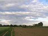 landscape, clouds, wheat, field, meadow, forest, cornfield, nature, countryside, village, road, blue, sky, blue sky, cloud, perspective, grain, cereals, tree, trees, soil, ground, arable, clod, earth, ploughland, tillage, watery cloud