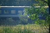 train, forest, meadow, field, tree, trees, green, blue, motion, nature, transportation, rail, light, sunlight, shadow, bush, bushes, train window, background, Kiss Lszl, Lszl Kiss