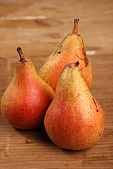 pear, russet pear, pear tree, warden, growth, fruit, hasting pear, uscious, sweet, juicy, balmy, fragrant, redolent, white butter pear, perry, william pear, CD 0088, Kiss László, László Kiss